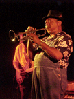 Photograph of Duck Clarence playing the trumpet